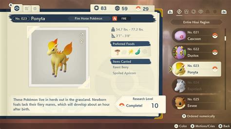 rapidash best nature.